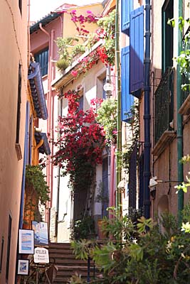 Collioure - Languedoc-Roussillon - Frankreich